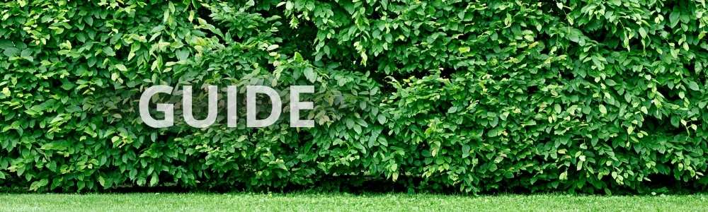 Hvor mange hækplanter pr meter?