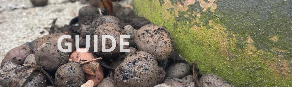 Giv dine planter luft og trivsel med lecakugler