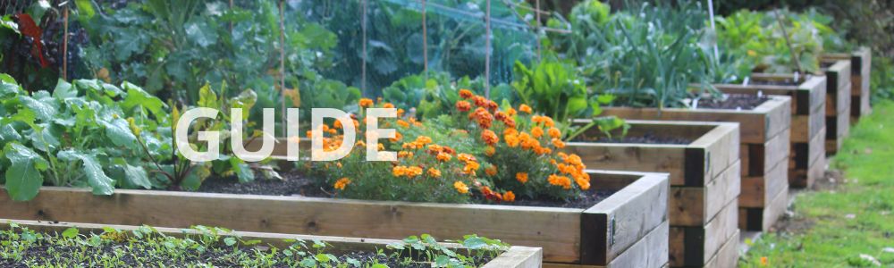 Hvad skal der i et højbed? Guide