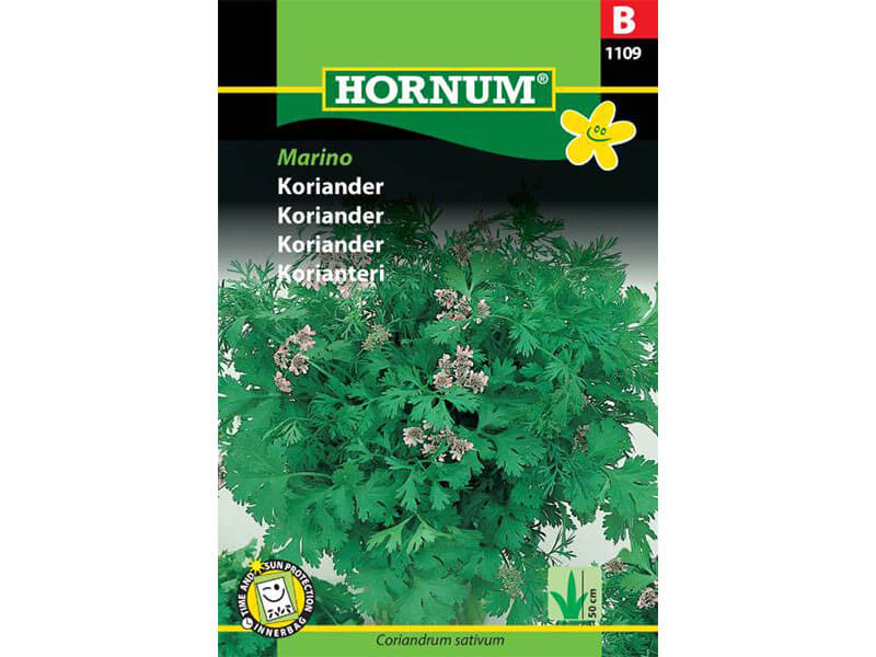 Frøpose med koriander, sorten Marino.