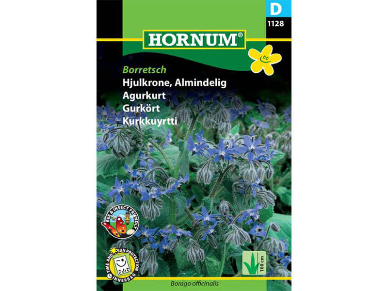 Frøpose med almindelig hjulkrone borretsch.