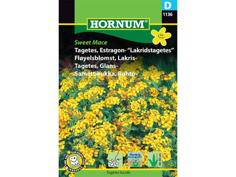 Frøpose med Tagetes og estragon, kaldet Lakridstagetes.
