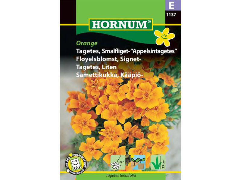 Frøpose med smalfliget appelsintagetes.