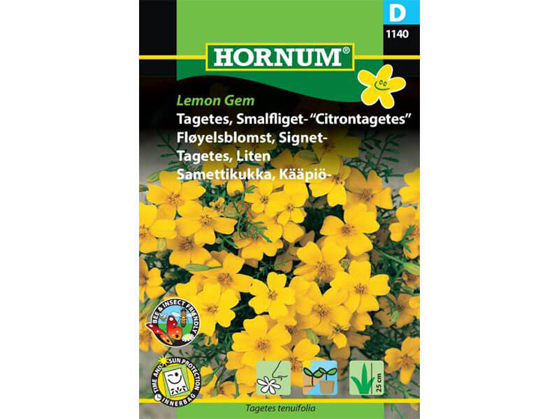 Frøpose med Citrontagetes, Smalfliget variant.