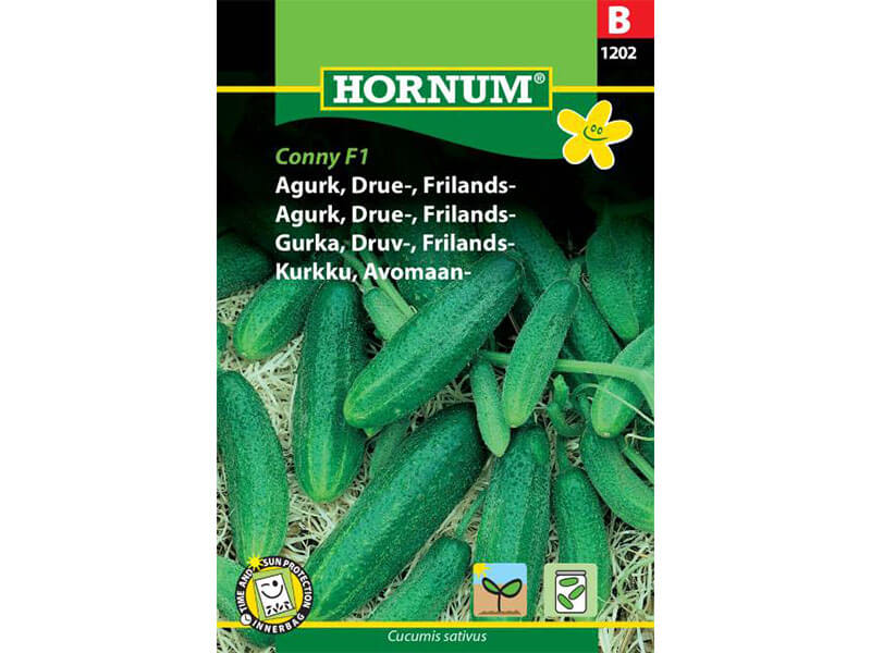 Frøpose med drueagurk, frilandsvariant, Libelle F1.