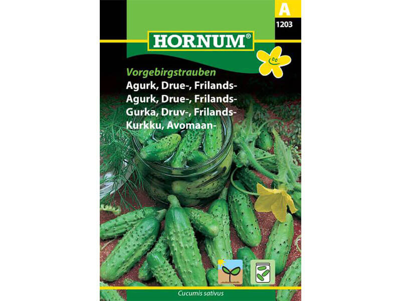 Frøpose med drueagurk til friland.