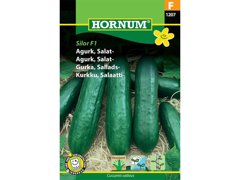 Frøpose med salatagurk Silor F1 hybrid.