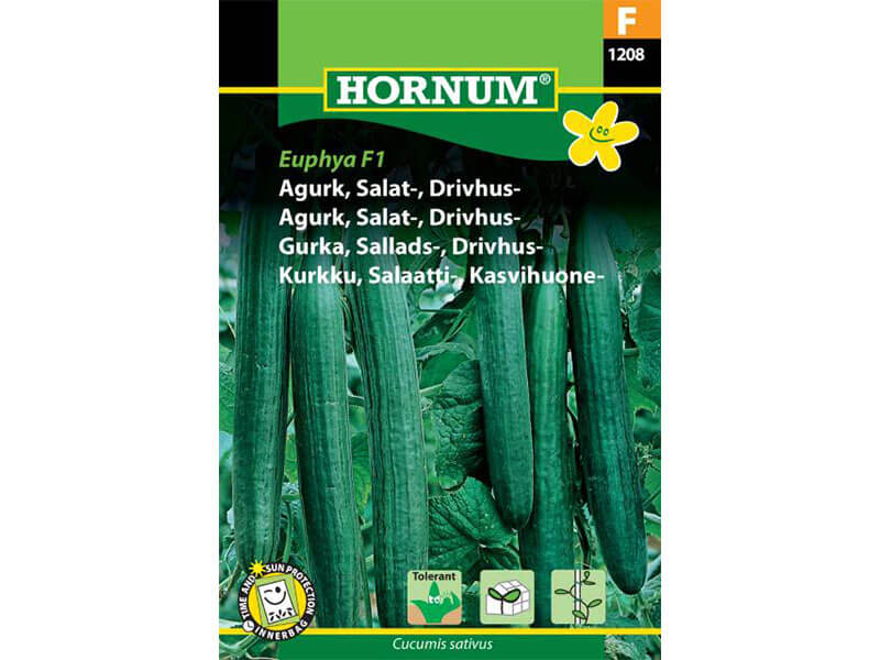 Frøpose med agurk til drivhus og salatdyrkning.