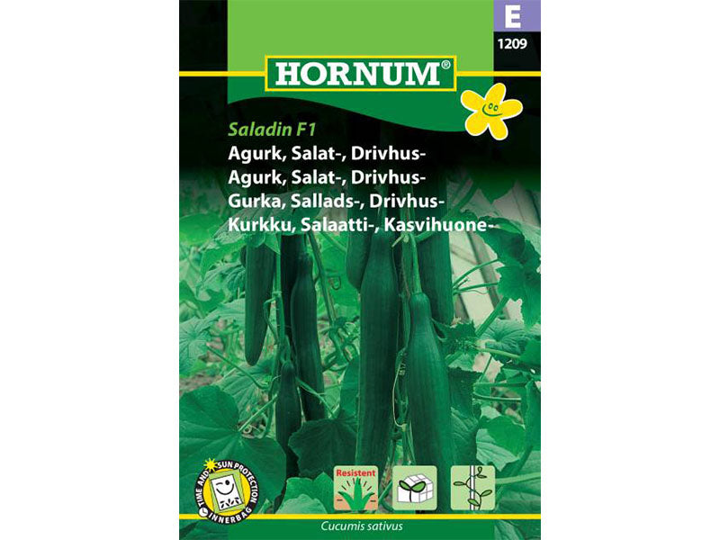 Frøpose med agurk, salat og drivhusvariant Saladin F1.