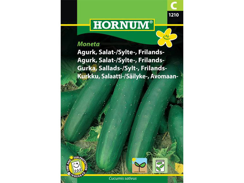 Frøpose med frilandssalat til agurk.