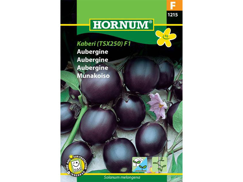 Frøpose med aubergine, sorten Kaberi F1.