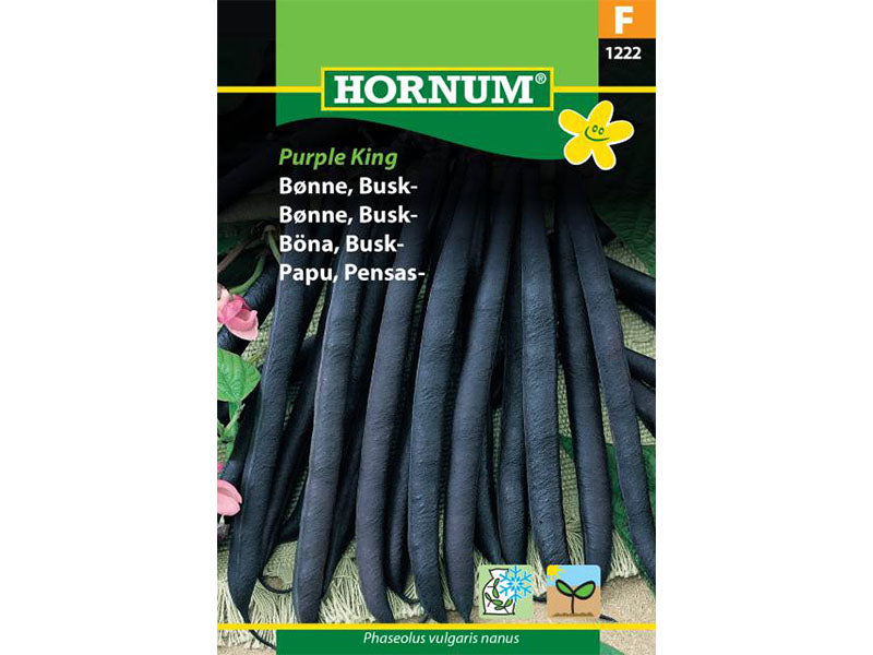Frøpose med buskbønner, sorten Purple King.