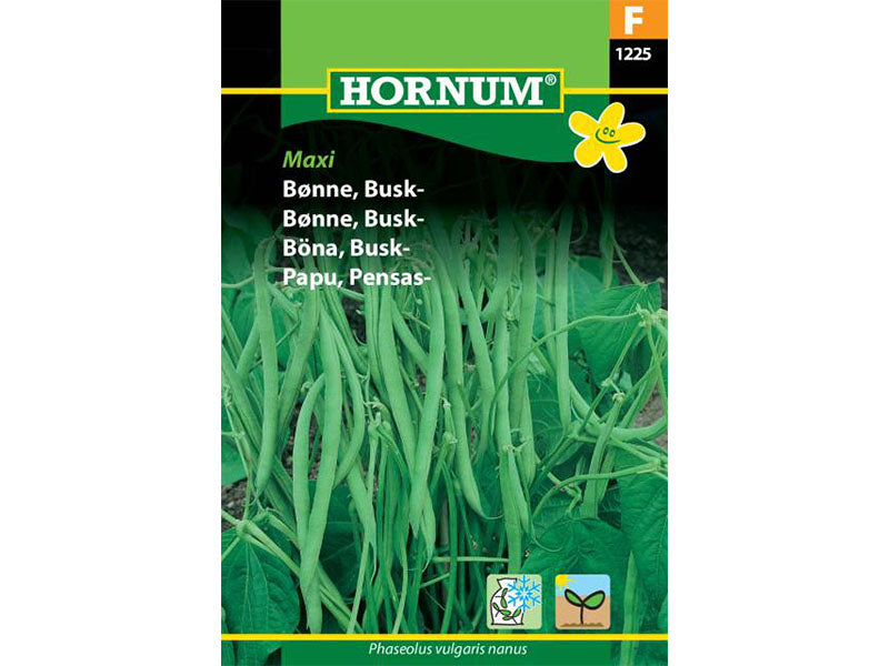 Frøpose med buskbønner, Maxi variant.