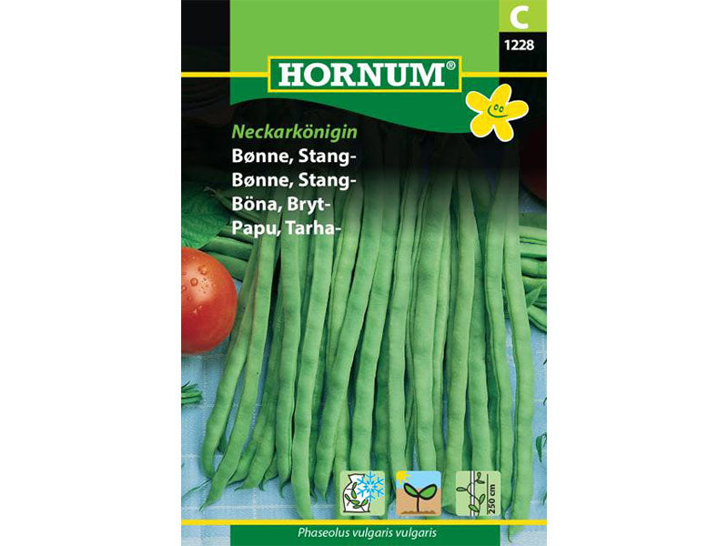 Frøpose med stangbønner, sorten Neckarkönigin.
