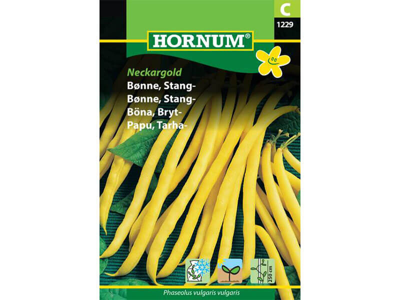 Frøpose med stangbønner, sorten Neckargold.