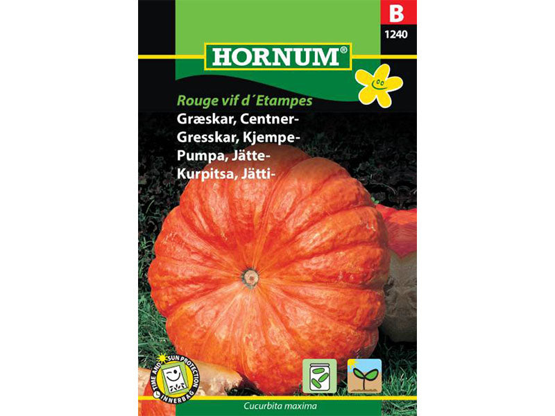 Frøpose med tidlig hestekastanje-græskar.