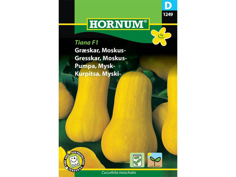 Frøpose med Moskusgræskar, Tiana F1.