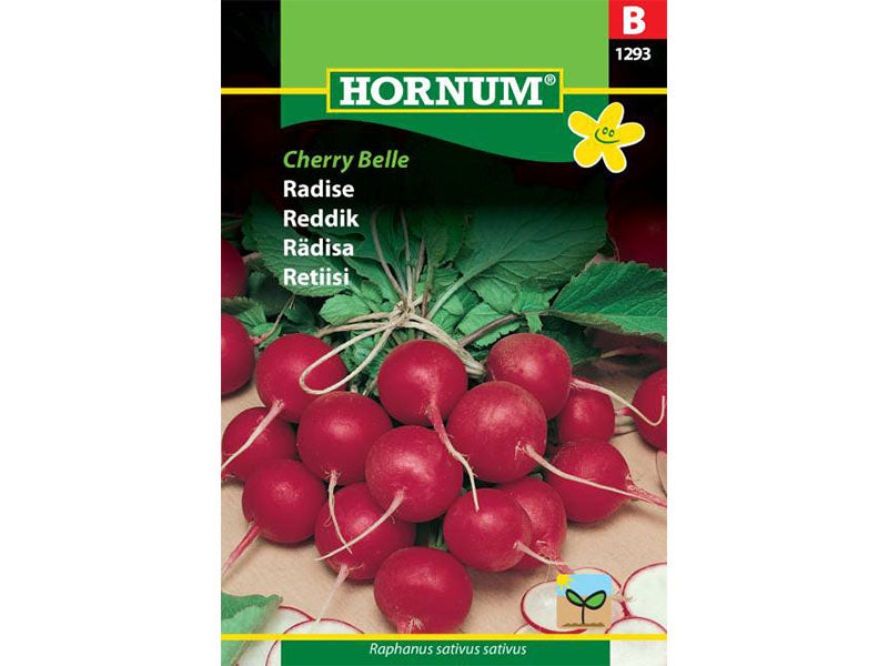 Frøpose med radiser, sorten Cherry Belle.