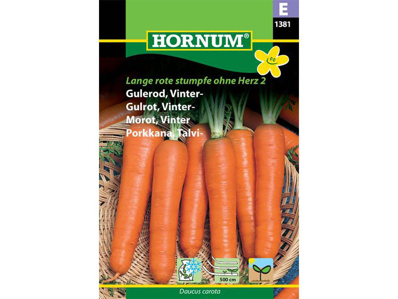 Frøpose med gulerod, vinter, lange rødder, såbånd.