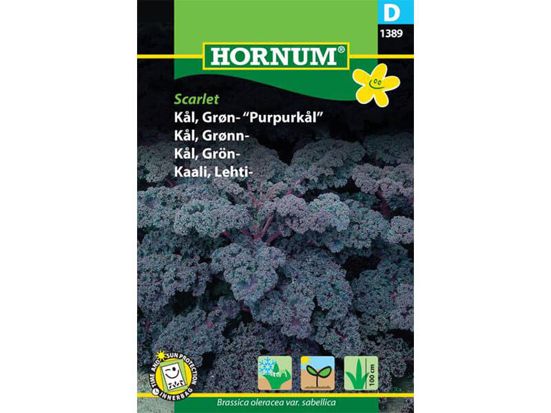 Frøpose med grøn kål af sorten Scarlet.