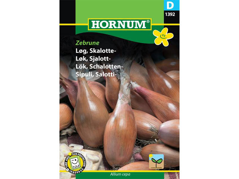 Frøpose med skalotteløg, Zebrune.