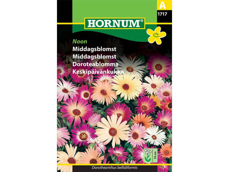 Frøpose med middagsblomst.