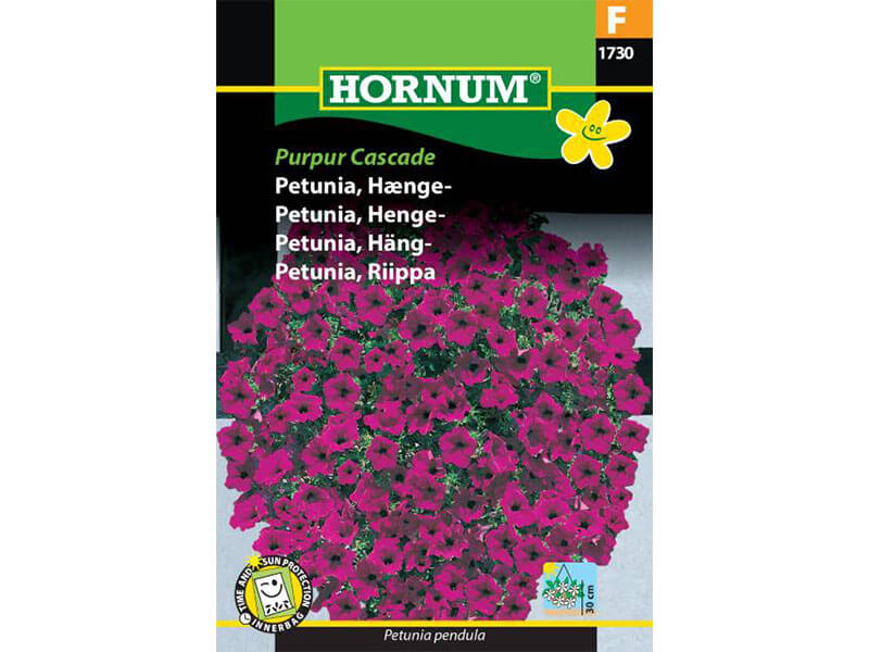 Frøpose med hængepetunia, Purpur Cascade.