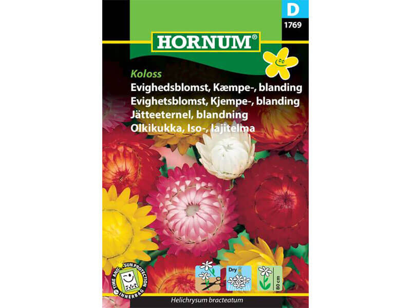 Frøpose med blanding af kæmpe evighedsblomster.