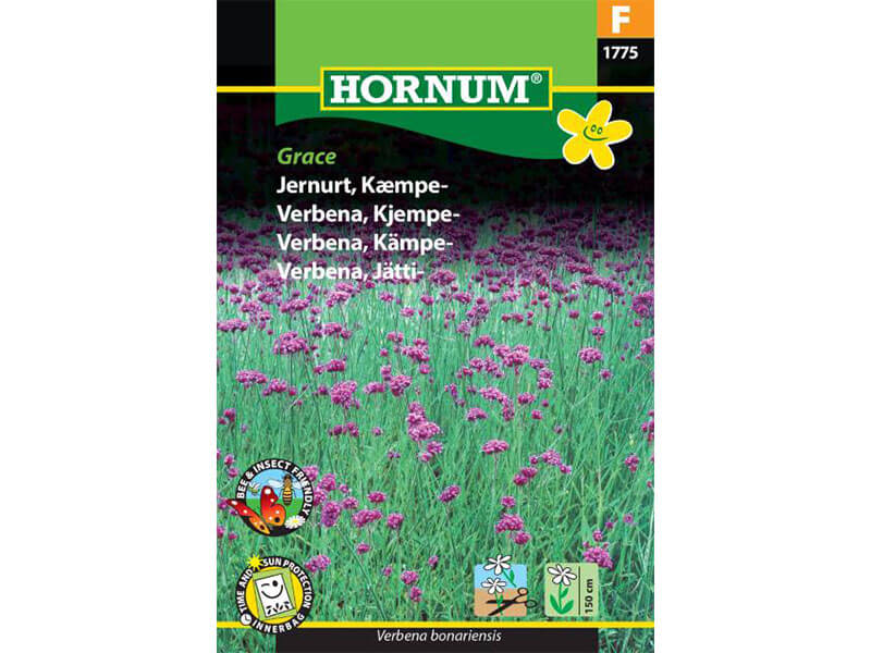 Frøpose med kæmpe jernurt.