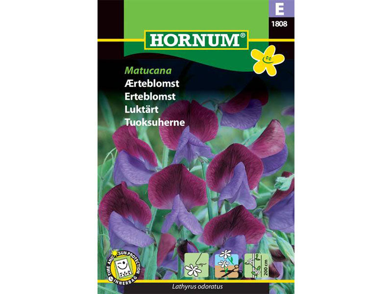 Frøpose med ærteblomst, Matucana.