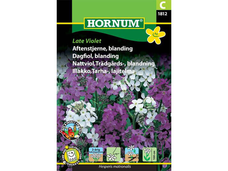 Frøpose med blanding af aftenstjerne, Late Violet.