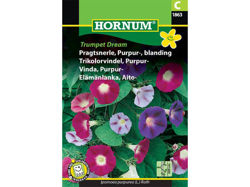 Frøpose med pragtsnerle, purpur, blussende trumpetformede blomster.