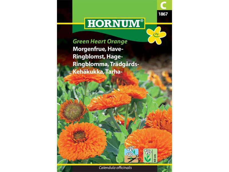 Frøpose med morgenfrue til haven.