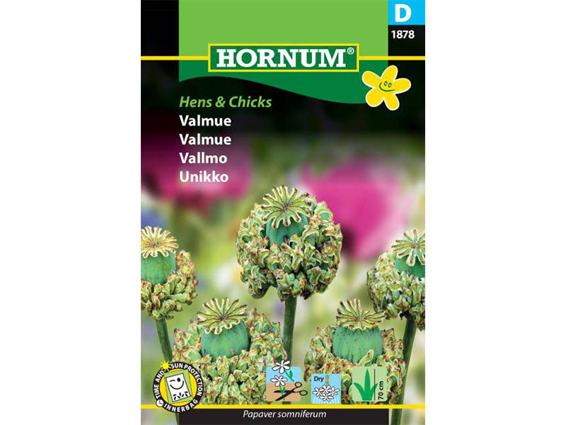 Frøpose med valmuer og Hens & Chicks planter.
