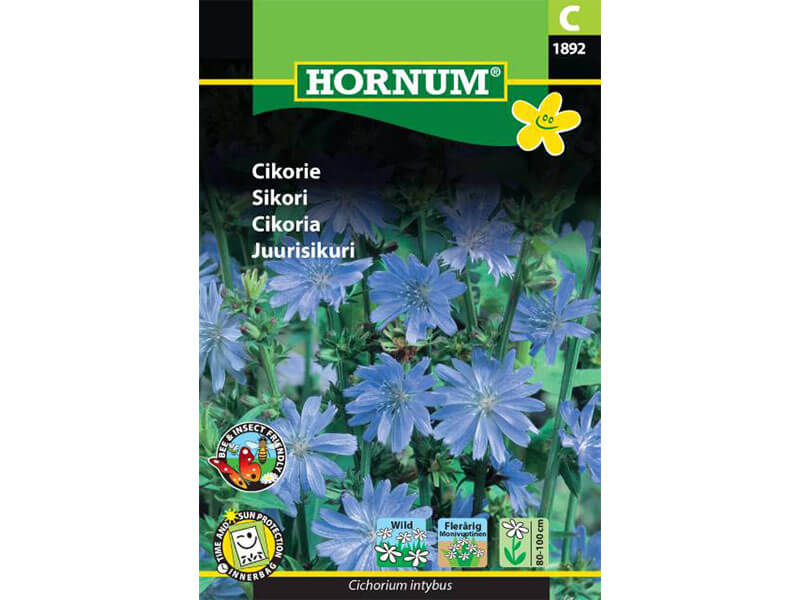 Frøpose med cikorie.