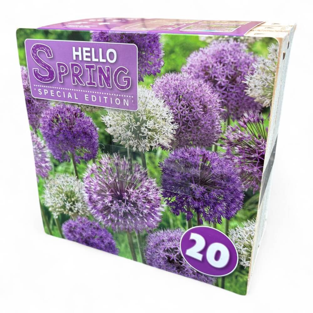 Prydløg - Hello Spring! Lilla Mix