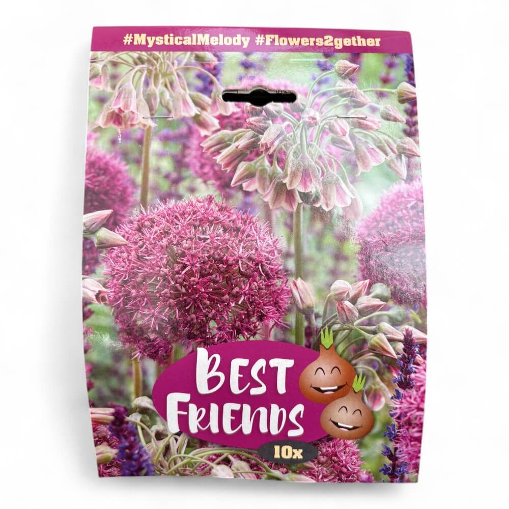 Prydløg mix - Mystical Melody - 5x Allium Bulgaricum 5x Allium Ostara