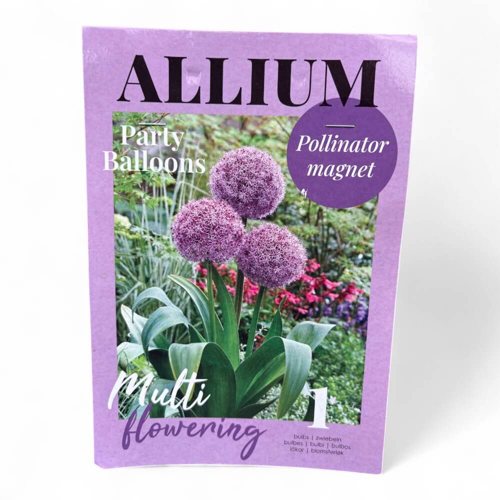 Prydløg 'Party Balloons'
