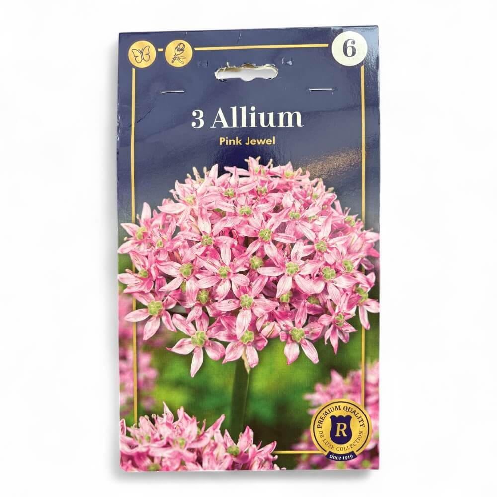 Prydløg, ALLIUM Pink Jewel 10/12