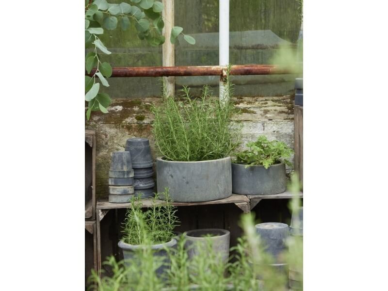 Mira krukker med planter