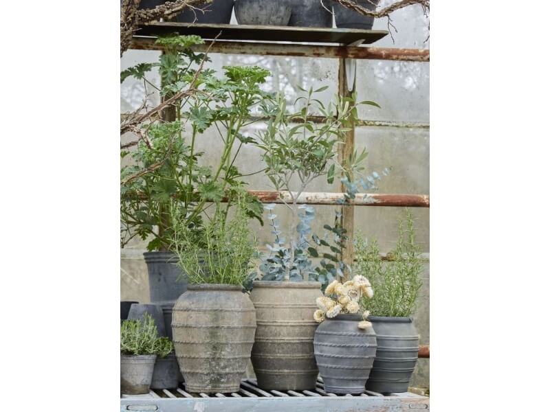 Signe krukker med planter
