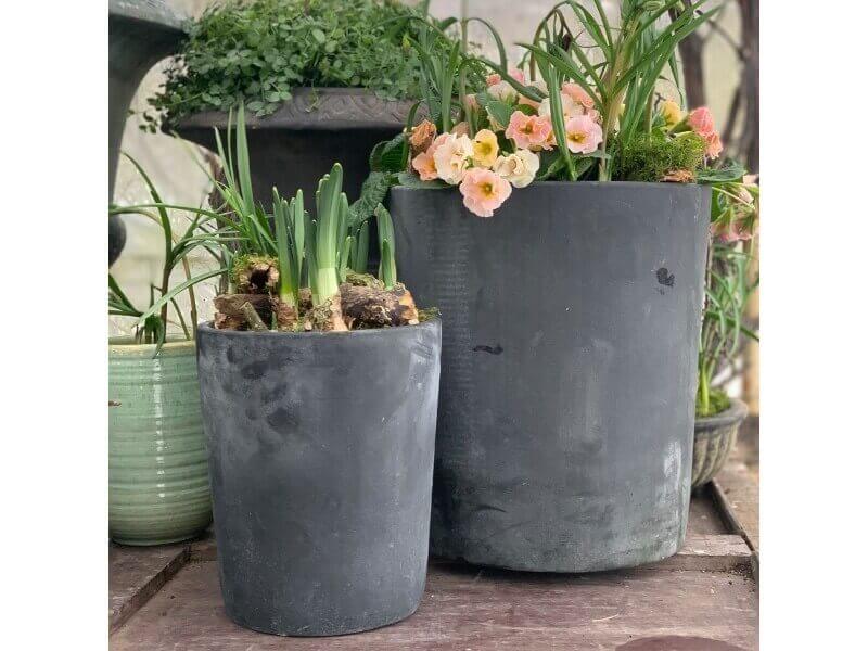 Vibeke krukke fra Bgreen med planter og blomster