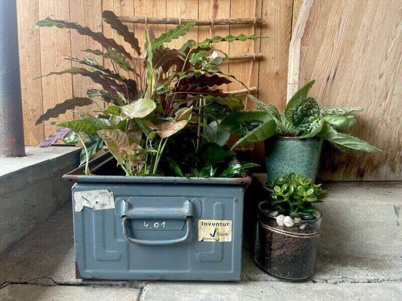 Metalkasse Ellen 58x38x24