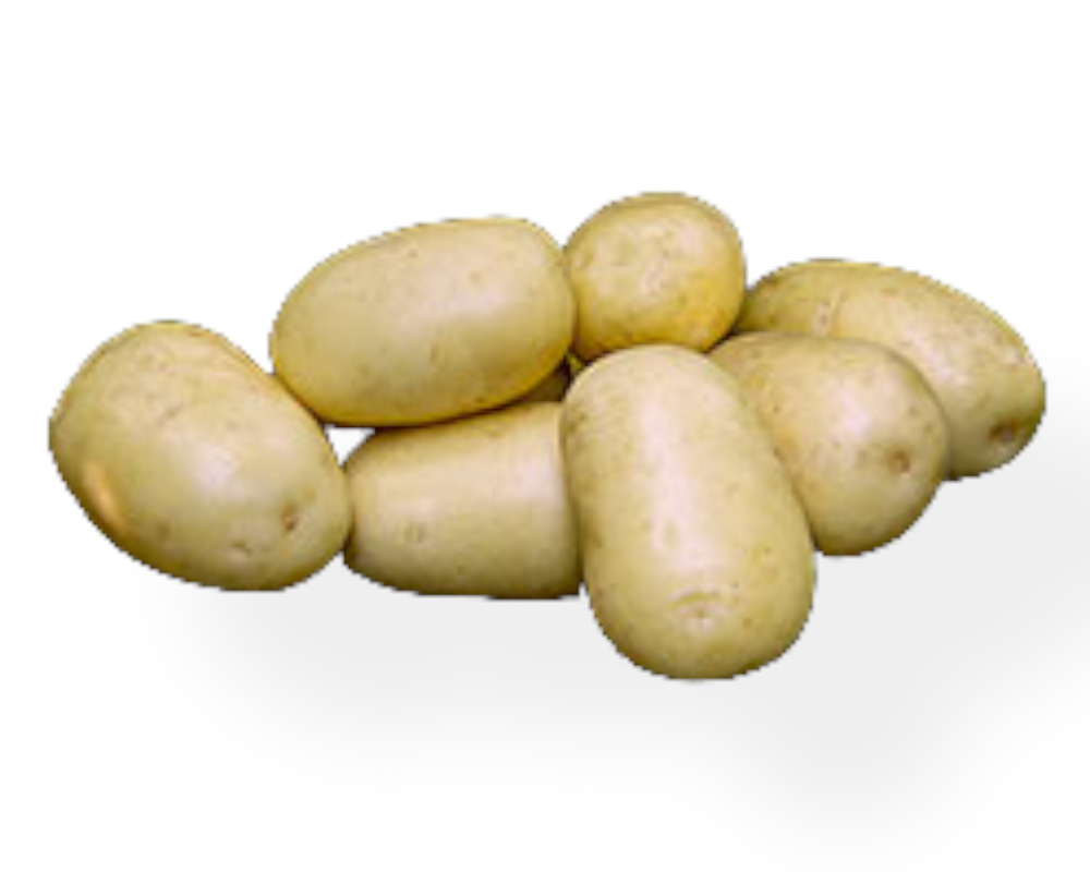 Læggekartoffel Frig 1,5 kg til haven.