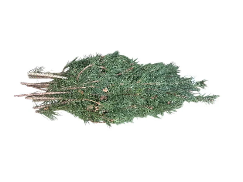 Bjergfyr pyntegrønt - 5 kg