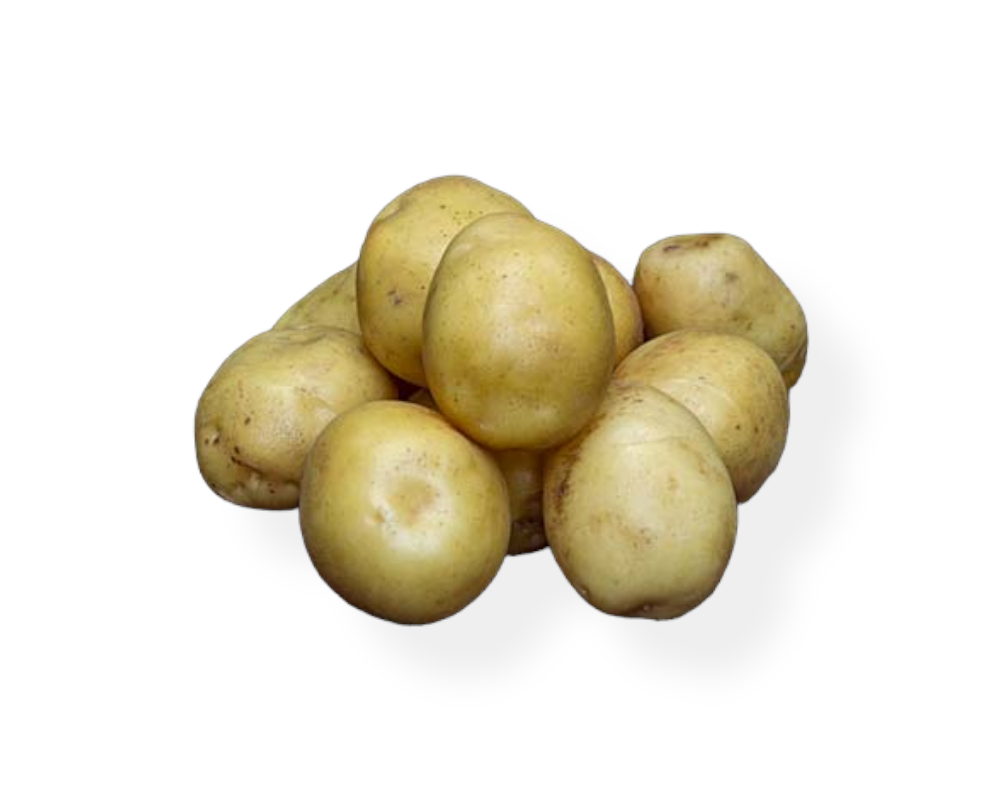 Læggekartoffel, Hamlet, 1,5 kg til haveplantning.