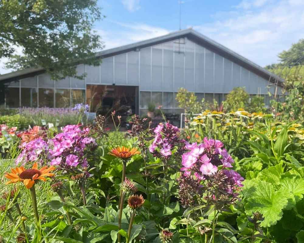 Hobby Haven planteskole og havecenter i Hasselager ved Aarhus