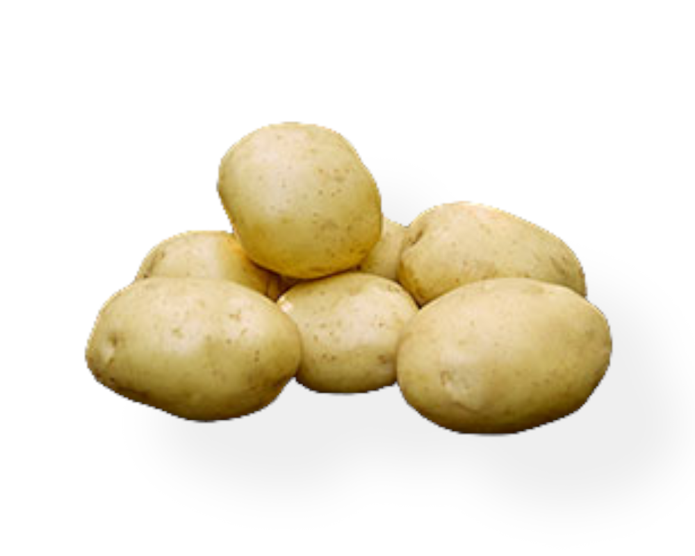 Læggekartoffel JustBake 1,5 kg til haveranlæg.