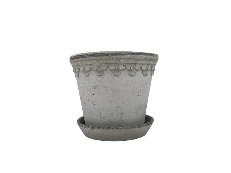 Rosenpotte, Københavner Grå, 18 cm