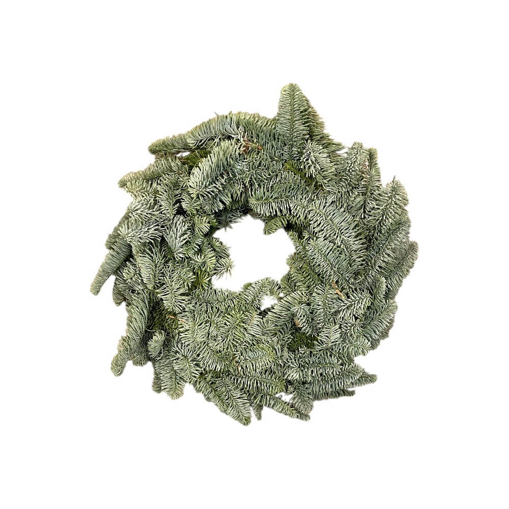 KRANS, NOBILIS 1/1 - 40 CM